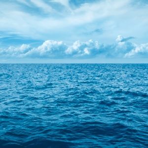 Meet your Posher, Tony